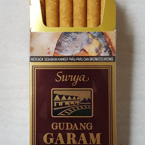 Gudang Garam Surya 12
