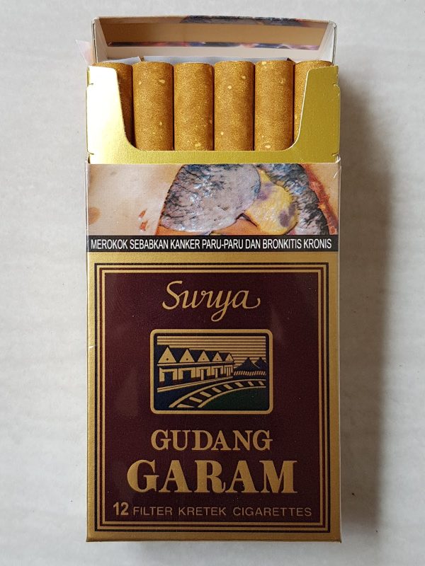 Gudang Garam Surya 12